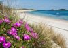 Scilly season: why spring is the best time to visit